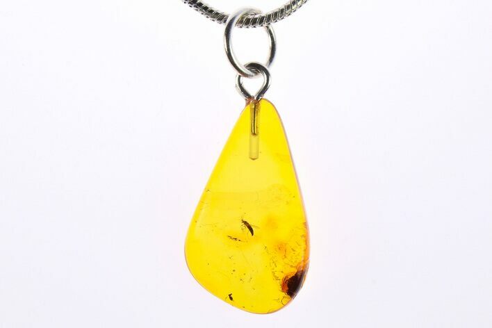 Polished Baltic Amber Pendant (Necklace) - Contains Fly! #273249